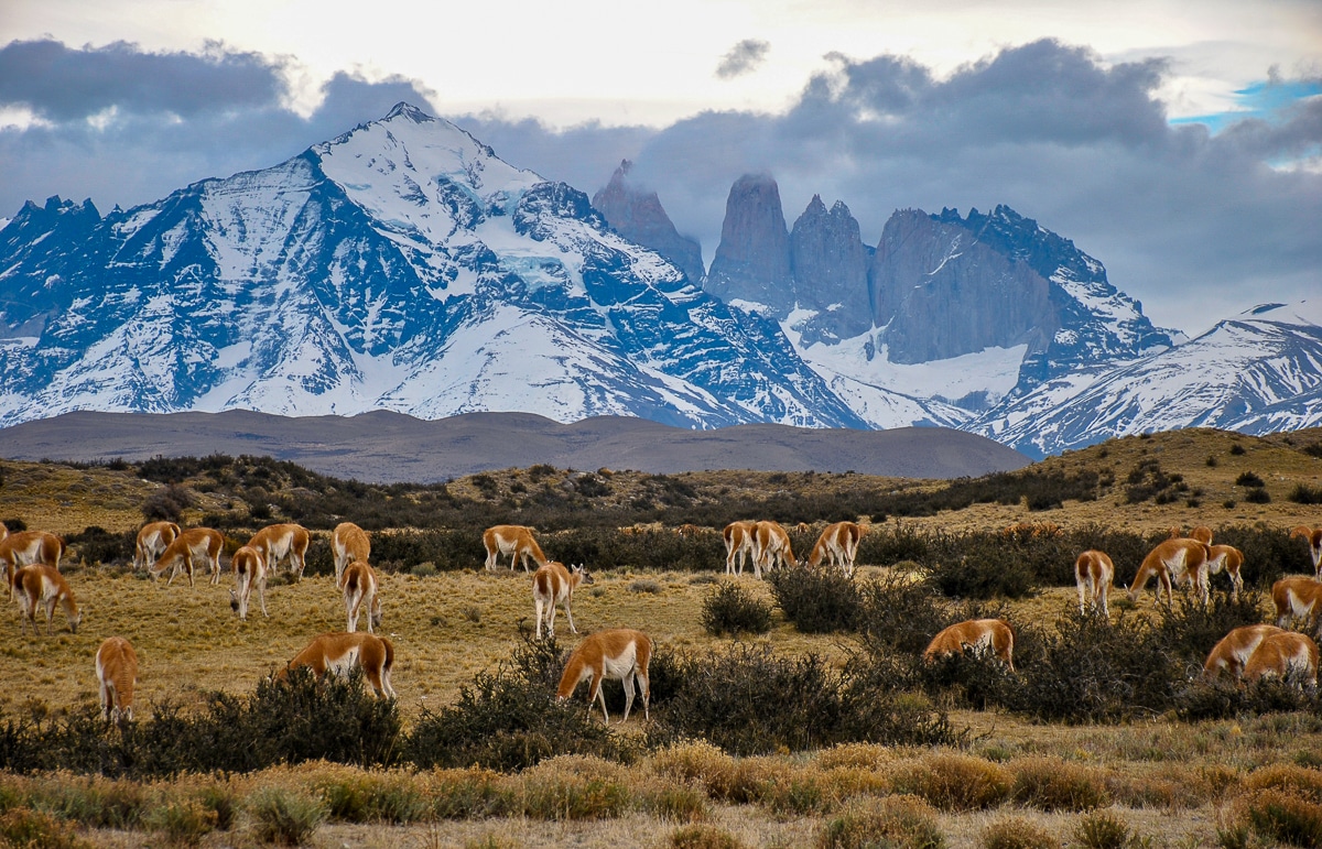 navštívit Patagonii