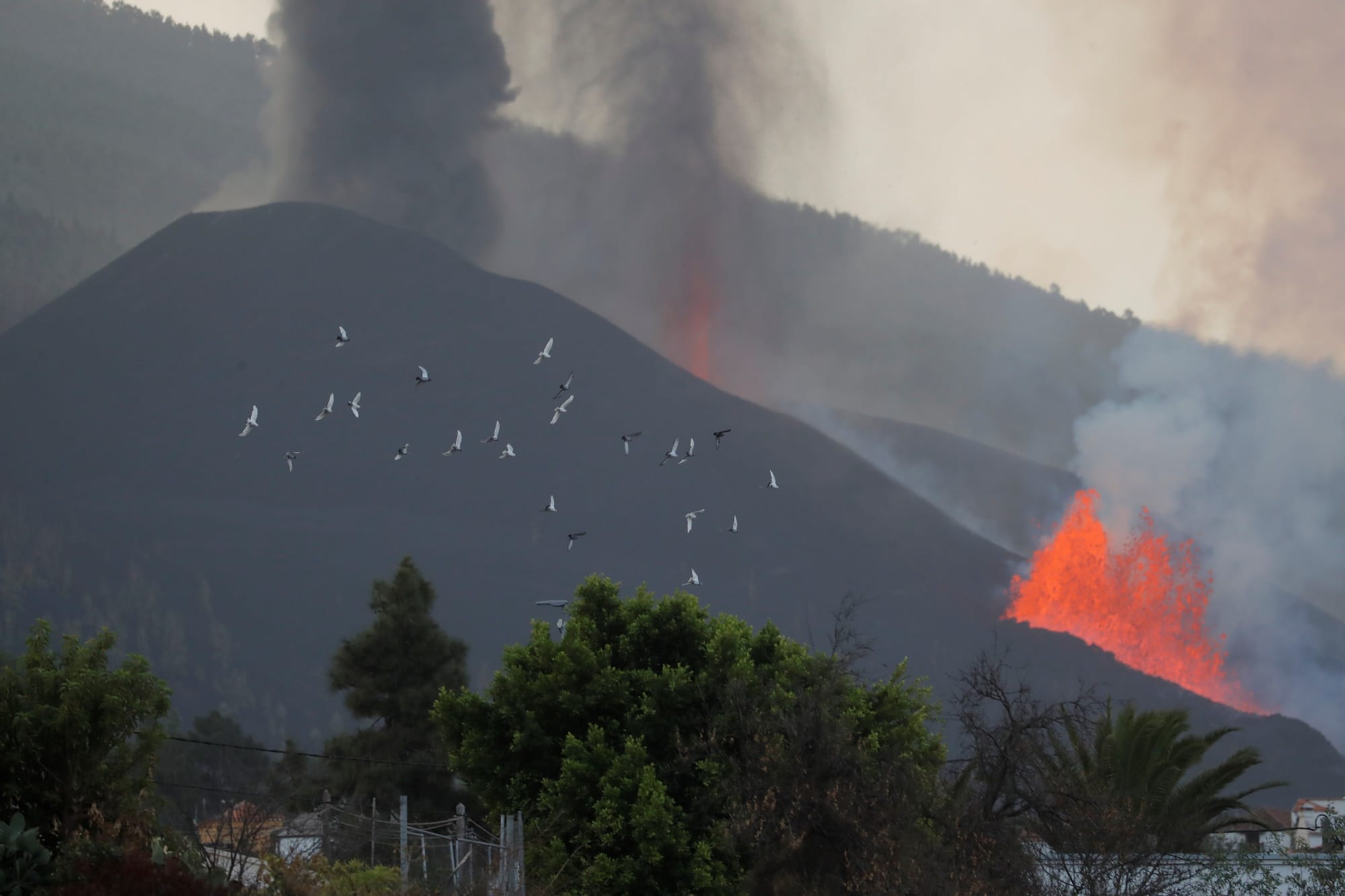 Sopečná erupce na Kanárských ostrovech