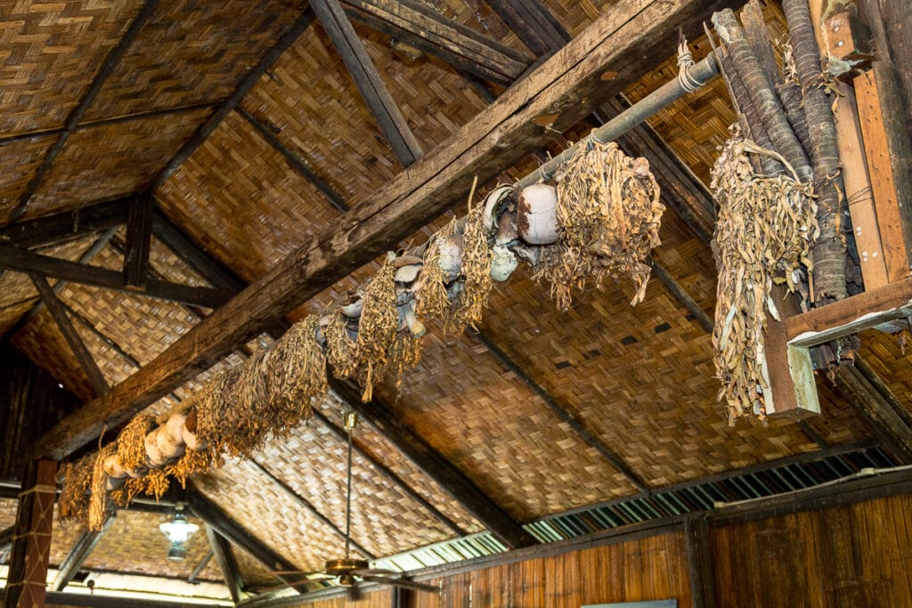 lovci lebek na Borneu