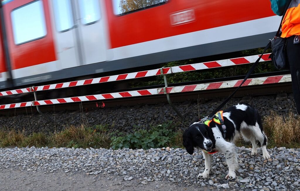 Německé státní Deutche Bahn cvičí psi