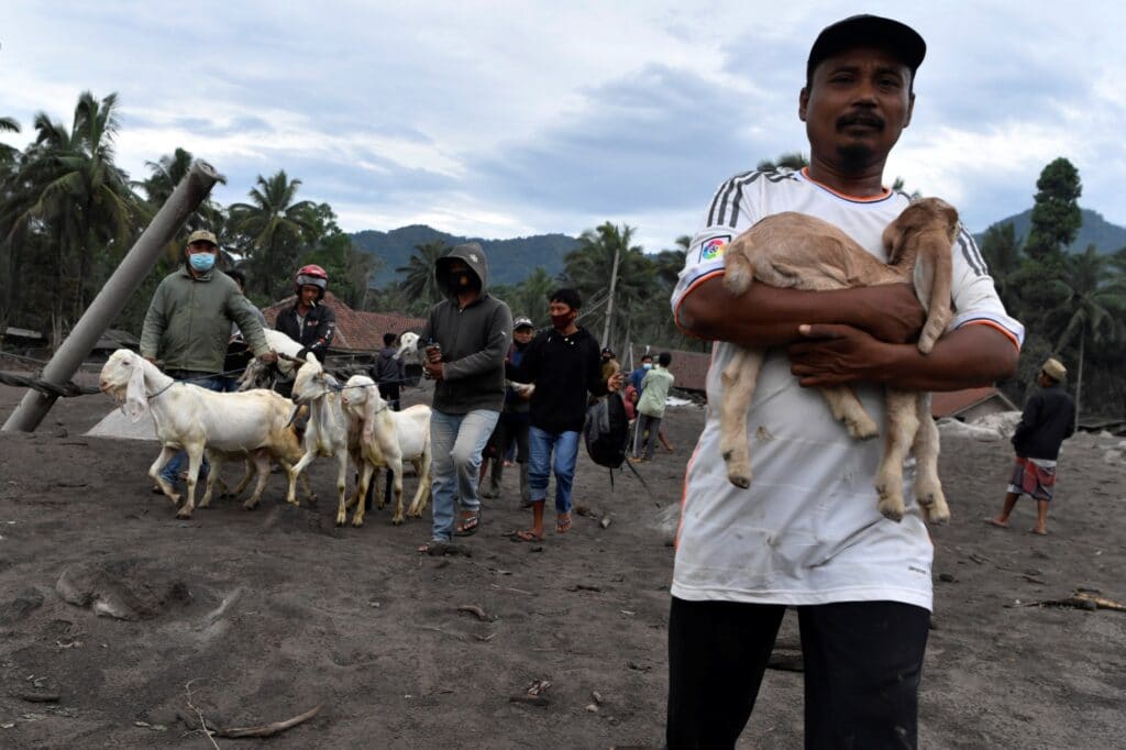 Vesničané zachraňují svá hospodářská zvířata