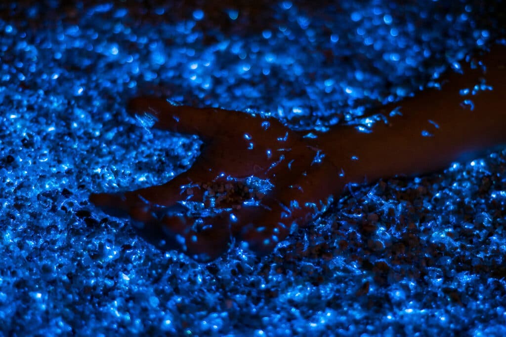 maledivy svítící plankton moře hvězd