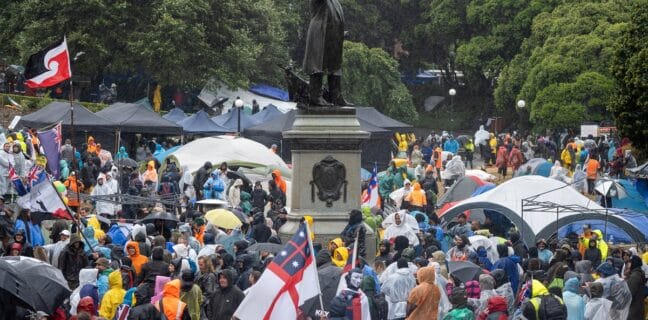Stovky demonstrantů se shromáždily v blízkosti novozélandského parlamentu