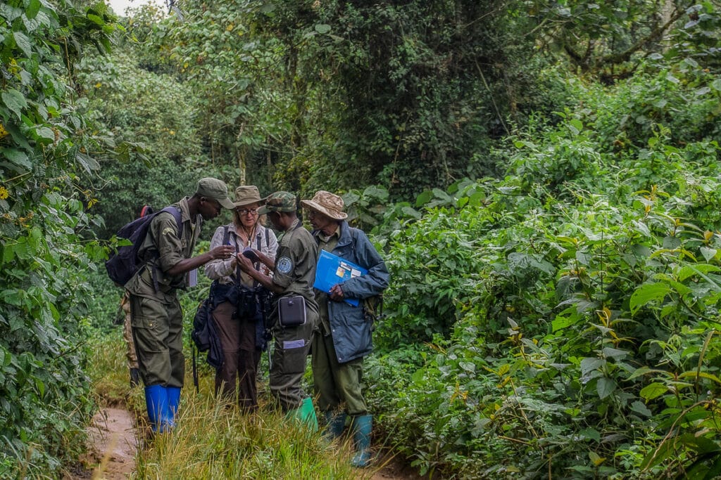 Rwanda gorily místní komunita turismus