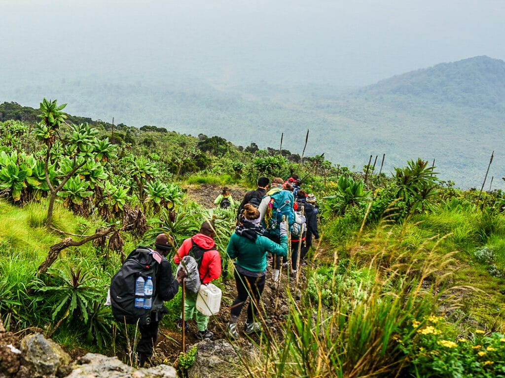 Rwanda gorily místní komunita turismus