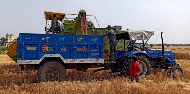 Indie zakázala vývoz obilí