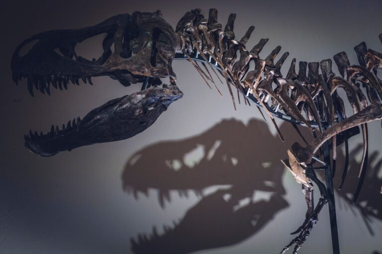 Nová studie: Dinosaury nezahubil pouze asteroid, nebezpečí číhalo také pod jejich nohama