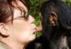 Poměr se šimpanzem v Belgické ZOO vyústil pro ženu v úplný zákaz vstupu