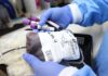 Rodiče odmítající pro syna krev očkovaných dárců dočasně přišli o jeho opatrovnictví