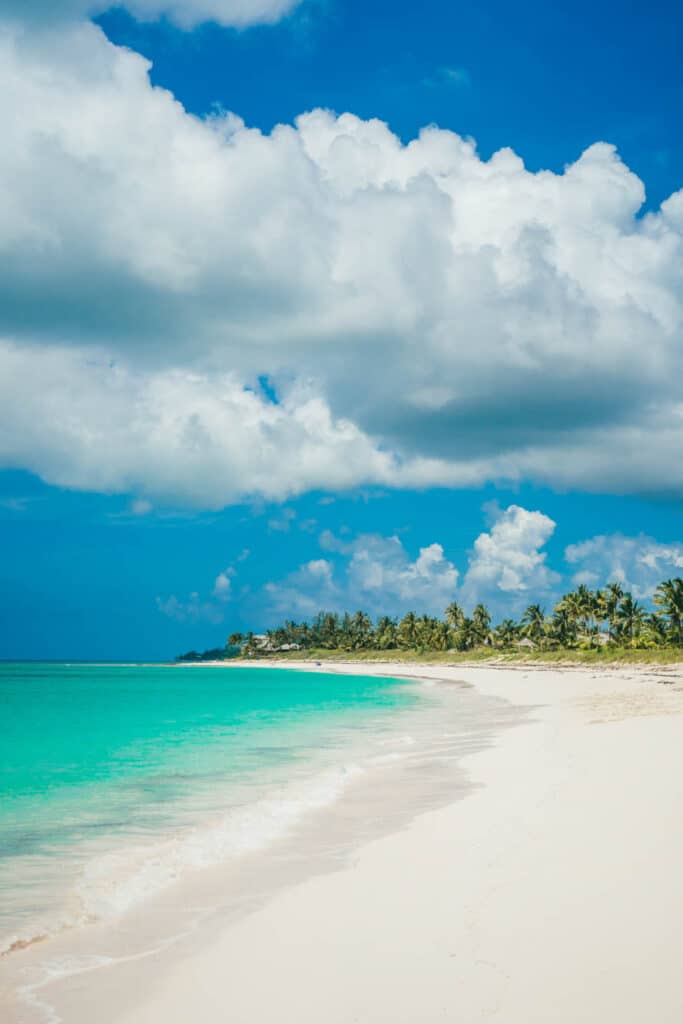 Plavání s prasátky pláže na Bahamách