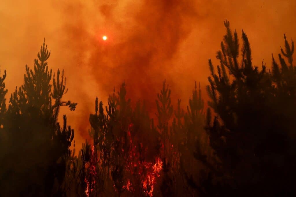 Země hlásí zhruba 260 aktivních požárů