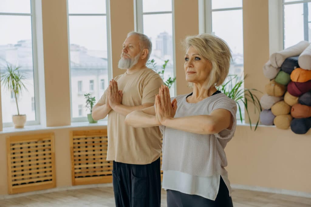 Vyrovnanost meditační praxe