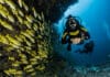 Potápění v Karibiku