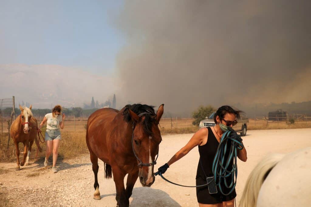 Požár v Řecku zasáhl i koňské stáje