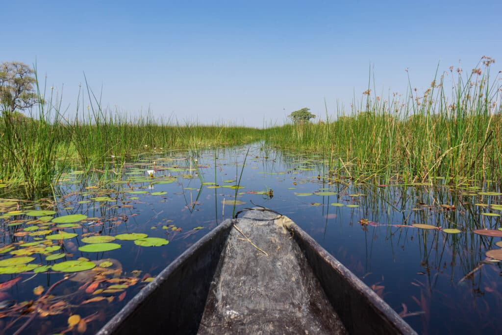 Botswana křováci na koni čtyřkolky