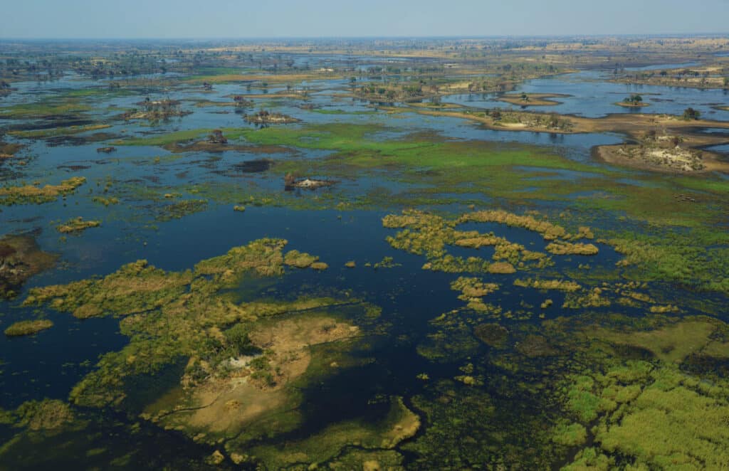 Botswana křováci na koni čtyřkolky