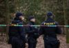 Plzeňská kriminálka zatkla podezřelého z brutální vraždy bezdomovce, kterému vrah uřízl hlavu a genitálie