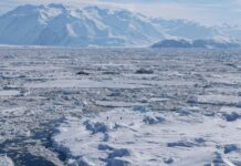 V zamrzlém moři na Antarktidě se otevřela obrovská díra a vědci konečně vědí proč