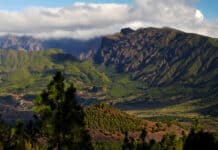 Vydejte se do divokého srdce La Palmy, Caldery de Taburiente