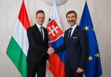 Szijjártó: Maďarsko a Slovensko dají zákaz dovozu ruského plynu a ropy k soudu