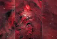 Vesmírný vánoční strom NGC 2264 má rozpětí téměř 80 světelných let NGC 2264