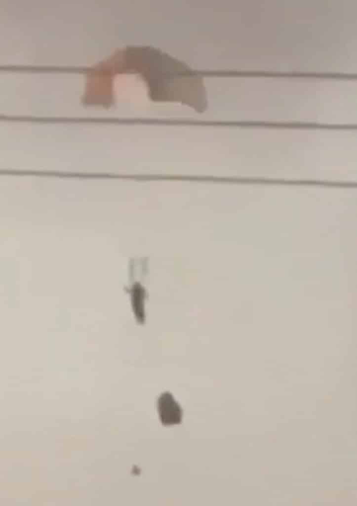 Posádce se podařilo katapultovat